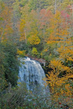 Photo of Dallas Smith